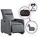 Lusso Casadino -  Poltrona Alzapersona Elettrica Reclinabile Grigio In Similpelle - Foto miniatura 4