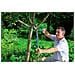 Troncarami a Cricchetto SmartCut Comfort - Foto miniatura 4