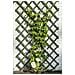 Pergolato Da Giardino In Legno Fsc Verde 50x150 Cm 6041702 - Foto miniatura 2