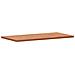 Piano Tavolo 100x50x2,5cm Rettangolare Legno Massello Di Faggio - Foto miniatura 3