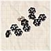 Eleganti Bottoni Per Camicie E Vestiti - Set Da 10 Black  24 - Foto miniatura 2