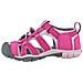 Seacamp Ii Cnx Jr 1022994, Bambini, Rosa, Sandali Da Esterno, Numero: 37 Eu - Foto miniatura 2