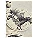 Harry Potter Magical Creatures Coasters Set Of 4 Ceramic - Set Sottobicchieri Creature Magiche - Half Moon Bay - Foto miniatura 4
