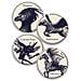 Harry Potter Magical Creatures Coasters Set Of 4 Ceramic - Set Sottobicchieri Creature Magiche - Half Moon Bay - Foto miniatura 8