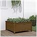 Fioriera Da Giardino Miele 82,5x82,5x39 Cm Legno Massello Pino - Foto miniatura 1