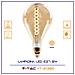 Vt-2138d Lampadina E27 Filamento Led A Doppia Spirale 8w Bulb A160 Con Vetro Ambrato Dimmerabile - Sku 7461 - Foto miniatura 1