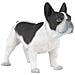 Statuina Cane Bulldog Francese Bianco E Nero Papo 54006 - Foto miniatura 2
