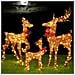 Famiglia 3 Renne Luminose Di Natale 600 Led Bianco Caldo Intreccio Corda Esterno - Foto miniatura 1