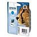 C13T07124021 Cartuccia Ink Originale Ciano per D78 / D92 / D120 / DX4000 / DX4050 / DX4400 Capacità 415 Pagine - Foto miniatura 1