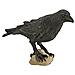 Safari Wings Of The World: Raven - Foto miniatura 1