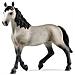 GIUMENTA CHEVAL DE SELLE FRANCAIS - Foto miniatura 1