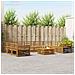 Set divani 10 pcs Naturale Legno di Acacia Massello - Foto miniatura 2