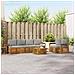 Set divani con cuscino 7 pcs Grigio Naturale e Chiaro - Foto miniatura 2