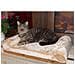 Cuscino Da Davanzale Per Gatti Beige 36x56 Cm 82656 - Foto miniatura 3