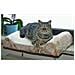 Cuscino Da Davanzale Per Gatti Beige 36x56 Cm 82656 - Foto miniatura 4