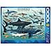 Puzzle Da 1000 Pezzi Sharks, Blu - Foto miniatura 1