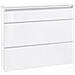 Scarpiera Piero, Mobile Multiuso A 2 Ante E 1 Anta A Ribalta, Portascarpe Da Ingresso, 100% Made In Italy, Cm 120x27h108, Bianco Lucido - Foto miniatura 2