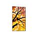 Pannello Interattivo 97.5" LED Flat MultiSync PN-M982 4K Ultra HD - Foto miniatura 4