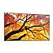 Pannello Interattivo 97.5" LED Flat MultiSync PN-M982 4K Ultra HD - Foto miniatura 3