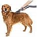 Set Di Accessori Per Toelettatura Animali - Compatibile Con Dyson V7/v8/v10/v11/v15 | Spazzola Con Aghi Regolabili, Tubo Flessibile 160 Cm - Foto miniatura 8