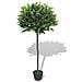 Albero Di Alloro Pianta Artificiale Con Vaso 125 Cm Verde - Foto miniatura 1