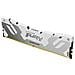 Technology Fury 16gb 8000mt /s Ddr5 Cl38 Dimm Renegade White Xmp - Foto miniatura 1