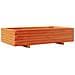 Fioriera Giardino Marrone Cera 110x60x26,5 Cm Legno Di Pino - Foto miniatura 2