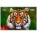 Videoproiettore EH-LS11000W 2500 ANSI lumen 3LCD UHD 4K - Foto miniatura 13