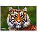 Videoproiettore EH-LS11000W 2500 ANSI lumen 3LCD UHD 4K (3840x2160) - Foto miniatura 11