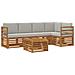Set divani con cuscino 6 pcs Grigio Naturale e Chiaro - Foto miniatura 1