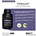 Tribulus Synthese Testosterone 90comprimes Eafit - Foto miniatura 1