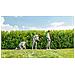 Tagliaerba Universalgrass Cut 18v-26 - Foto miniatura 5