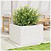 Fioriera Da Giardino Bianca 70x70x46 Cm Legno Massello Di Pino - Foto miniatura 2