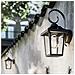 Buzzard Wall Lantern Black 1X60w 230V - Foto miniatura 3