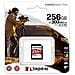 Canvas React Plus - Scheda di memoria flash - 256 GB - Video  - Foto miniatura 2