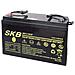 Batteria Agm Cycle Use Sk12-100s 12 V -100 Ah - Foto miniatura 1