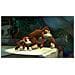 Donkey Kong Country: Tropical Freeze, Wii U Basico Wii U Francese videogioco - Foto miniatura 6
