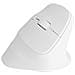 Crake 2 mouse Universale Mano destra RF senza fili + Bluetooth Ottico 2400 DPI - Foto miniatura 10