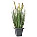 Pianta Erba Di Brughiera Artificiale 60cm - Foto miniatura 1