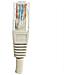Cavo patch RJ45, Cat6, UTP, lunghezza 1.5 m, grigio - Foto miniatura 3