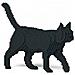 Installazioni 3d Cat Black - Foto miniatura 1