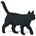 Installazioni 3d Cat Black - Foto miniatura 3