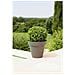 Pot De Fleurs Soleilla - Rond - 39,2 X 35,8 Cm -gris Paillet - Foto miniatura 4
