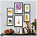 Set Di 6 Stampe Cibo E Nutrizione Frutta Dolce Natura E Nutrizione Per L'interior Design A3 & A4 Senza Cornice - Foto miniatura 5
