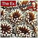 Ex & Brass Unbound - Enormous Door - Foto miniatura 1