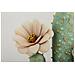 Stampa Su Tela Con Cornice Cactus 5 - Multicolore - Legno - 40x2,8x40 Cm - Foto miniatura 3