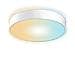 Plafoniera LED RCL 240 T Diametro 41 cm 2200K Dimmerabile  - Foto miniatura 1