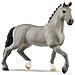 STALLONE CHEVAL DE SELLE FRANCAIS - Foto miniatura 1