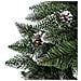 Albero Di Natale 180 Cm King Premium Verde Innevato 800 Rami Folto Con Pigne - Foto miniatura 2