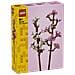 40725 Fiori di Ciliegio - Foto miniatura 1
